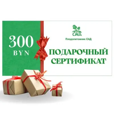 Подарочный сертификат на 300 BYN в Орле