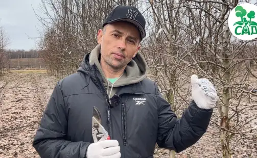 Превью видео