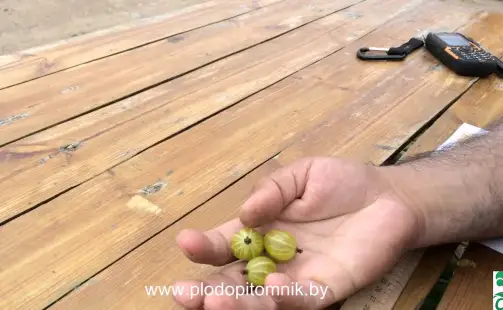 Превью видео