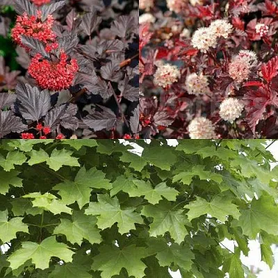 Комплект ОСЕННИЙ КОСТЕР в Орле