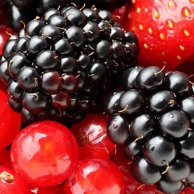 Ежевика  Ежевика в Орле