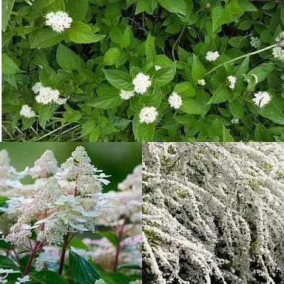 Комплект СКАНДИНАВСКИЙ СТИЛЬ в Орле