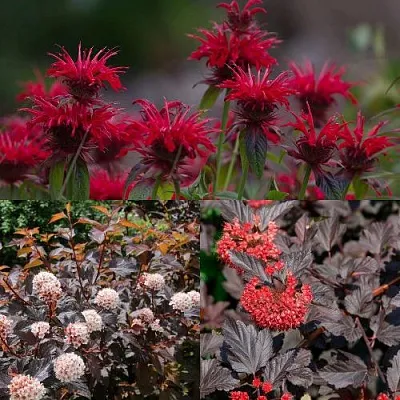 Комплект ОГНЕННЫЙ МИКС в Орле