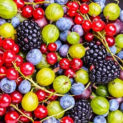 СУПЕР НОВИНКИ  СУПЕР НОВИНКИ в Орле